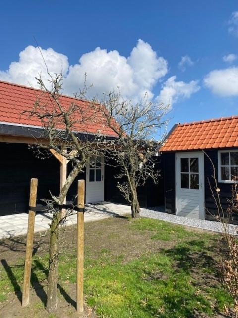 'T Schouws Uusje Villa Burgh-Haamstede Dış mekan fotoğraf