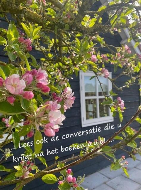 'T Schouws Uusje Villa Burgh-Haamstede Dış mekan fotoğraf